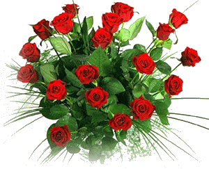 roses[1]